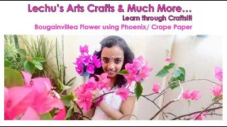 Bougainvillea Flower using Phoenix/ Crape Paper