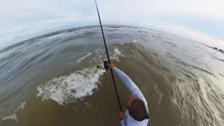 Surf Casting 8 and Bait Pays off BIG TIME