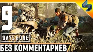 DAYS GONE (Жизнь После) #9 ➤ Прохождение Без Комментариев На Русском ➤ PS4 Pro 1440p 60FPS