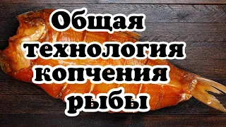 Как коптить рыбу. Рыба холодного копчения общая технология.