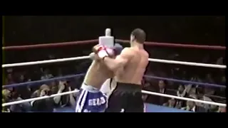 ► || The Croatian Tiger || TOP 5 BRANKO CIKATIC KNOCKOUTS K-1