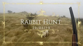 Rabbit Hunt 29 03 19