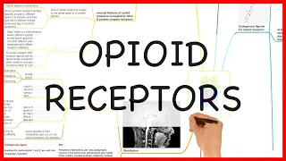 OPIOID RECEPTORS -PHYSIOLOGY SERIES