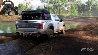 Ford F-150 RAPTOR OFFROAD - Forza Horizon 5 G29 GAMEPLAY