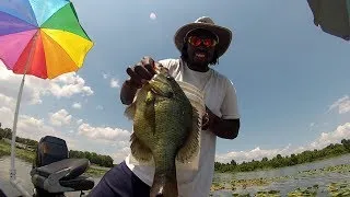 Shellcracker Fishing catching Huge Monster Slabs