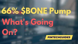 Bone ShibaSwap Pumps 66% - What Is Going On With $BONE?!