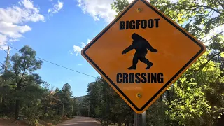 2020 Bigfoot Evidence. Best 💩👍. Tha realist Sasquatch evidence compilation