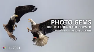 Wildlife Photo Gems Right Around the Corner with Mary Ann & Joe McDonald | OPTIC 2021