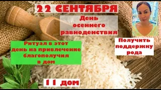 22 СЕНТЯБРЯ ОСЕННЕЕ РАВНОДЕНСТВИЕ: ритуал работы с родом. Практика на привлечение благополучия. Таро