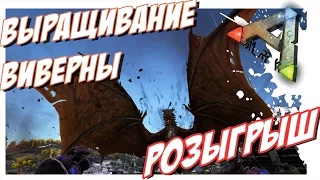 ARK  Survival Evolved - ВЫРАЩИВАНИЕ ВИВЕРНЫ. РОЗЫГРЫШ ИГРЫ ARK Survival Evolved !!!