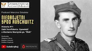 Historia #11 Zabić konfidenta. Opowieść o Marianie Murzynie ps. "Żbik"