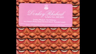 Aphex Twin - Donkey Rhubarb (Original Mix)