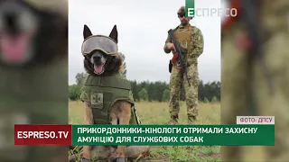 Прикордонники-кінологи отримали захисну амуніцію для службових собак