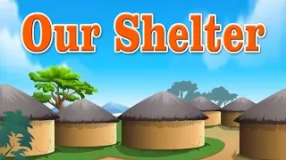 Class1 | EVS | Our Shelter