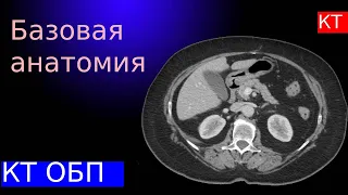 Базовая КТ анатомия брюшной полости