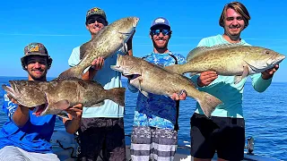 NonStop!! Gag Grouper Action WE LIMITED OUT!!