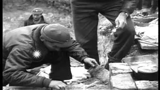 Prisoners cook at an Allied prisoner of war camp in Moosburg, Germany during Worl...HD Stock Footage