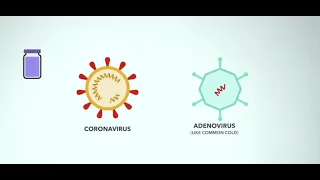 What is the difference between COVID-19 vaccines?