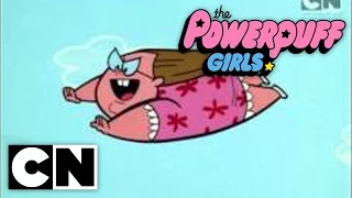 The Powerpuff Girls (Classic) - Mojo Jonesin (Full Episode)