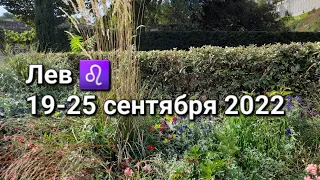 ЛЕВ. Расклад ТАРО на 19-25 СЕНТЯБРЯ 2022