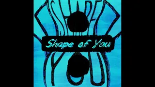 Shape of You by Ed Sheeran [1 HOUR LOOP] with lyrics