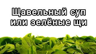 Щавельный суп или зелёные щи