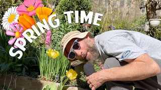 Spring Time: Ad from You Be Trippin' with Ari Shaffir