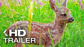 DIE WIESE Trailer German Deutsch (2019)