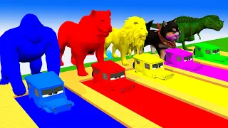 Paint animals Duck, Cow, Tiger, Lion, Gorilla, Elephant, Shark Transfiguration funny animal