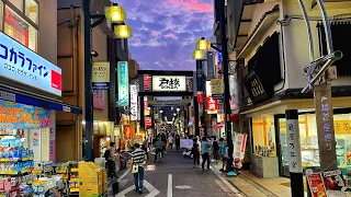 Live Tokyo Walk - Togoshi-Ginza, Musashi Koyama and Local Shopping streets