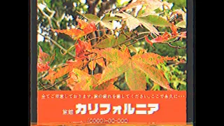 ニセ懐かしCM集をつくってみた。