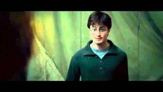 Harry Potter and the Deathly Hallows part 1 Harry and Ron fighting scene