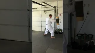 Sagi Makiwara Conditioning Drills