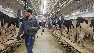 Cows need milked on Sundays too. Thank a farmer!