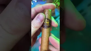 Cigar Vape?!