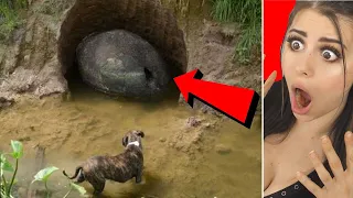 CREEPIEST Things Found in Forests !