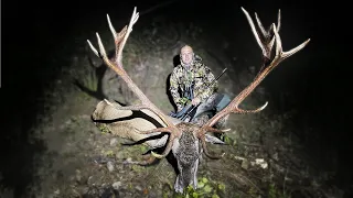 Hirschjagd in den Karpaten 3/3  - Red stag hunting in the Carpathian Mountains 3/3