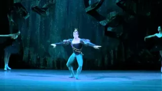 Злой гений Evil genius Игорь Цвирко Igor Tsvirko Лебединое озеро Swan lake