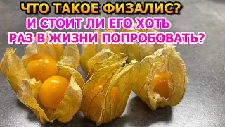 Что собой представляет плод - Физалис и стоит ли его покупать?