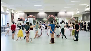 World Ballet Day 2017 Highlights from The Australian Ballet