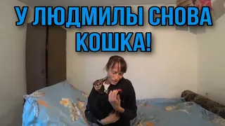 ЛЮДМИЛА ОПЯТЬ ПРИТАЩИЛА КОШКУ. ДЕЛАЮЩИЙ ДОБРО.