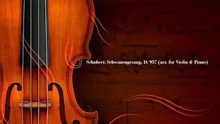 Schubert: Schwanengesang, D. 957 ("Swan Song"), arr. for Violin & Piano