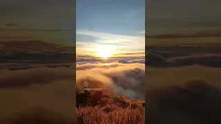 Mt. Pulag Summit 2023