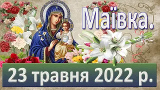 Маївка. 23 травня 2022 р.