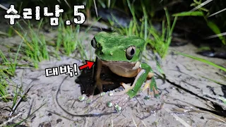 결국 찾았습니다! 이게 말이 되나요?? 초희귀종 대박터졌다...! [ep.5]