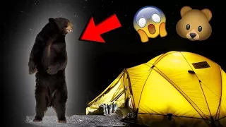 BEAR ATTACKS TENT!! 🐻 SO SCARY!!!😱