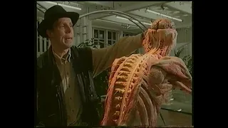 Körperwelten - Die Faszinitation des Echten (1998) german VHSRip