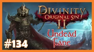 Let's Play Divinity: Original Sin 2 - Fane (Undead) #134 💀 Herr Linder Kemm 💀 [Deutsch]