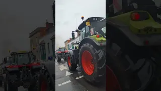 Somerset, UK farmers come out in force.