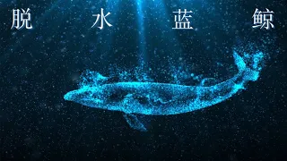 "Dehydrated Blue Whale" I used to be infinitely close to the crowd [Vicky Xuan Xuan]